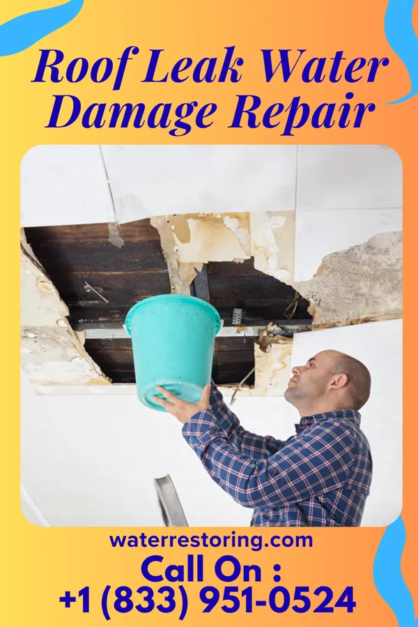 Roof Leak Water Damage Repair in Lowry City, MO